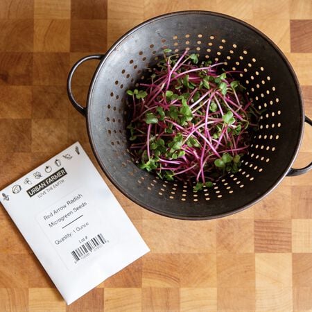 Red Arrow, Radish Seeds - Packet image number null